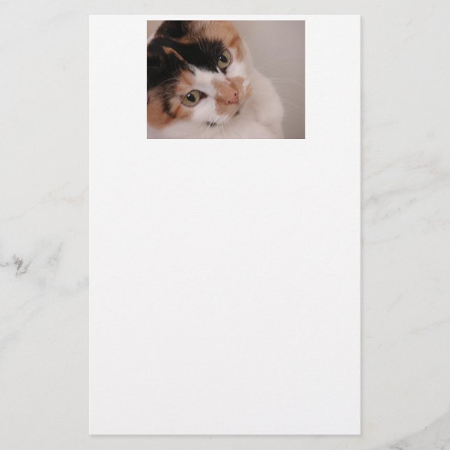 Calico Beauty Cat Stationery (Front)