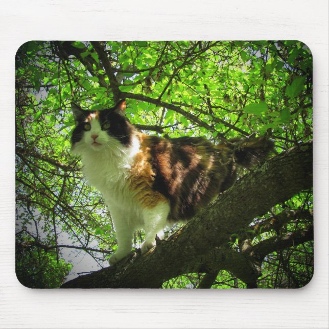 Calico bird hunter mouse pad (Front)