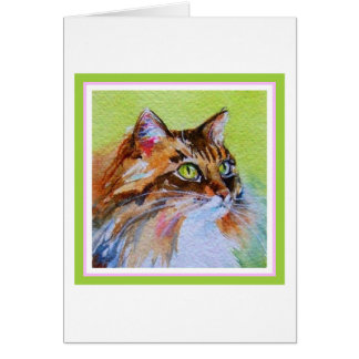 Calico Cat