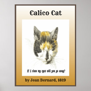 Calico Cat 1819 Poster