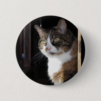 Calico Cat 6 Cm Round Badge