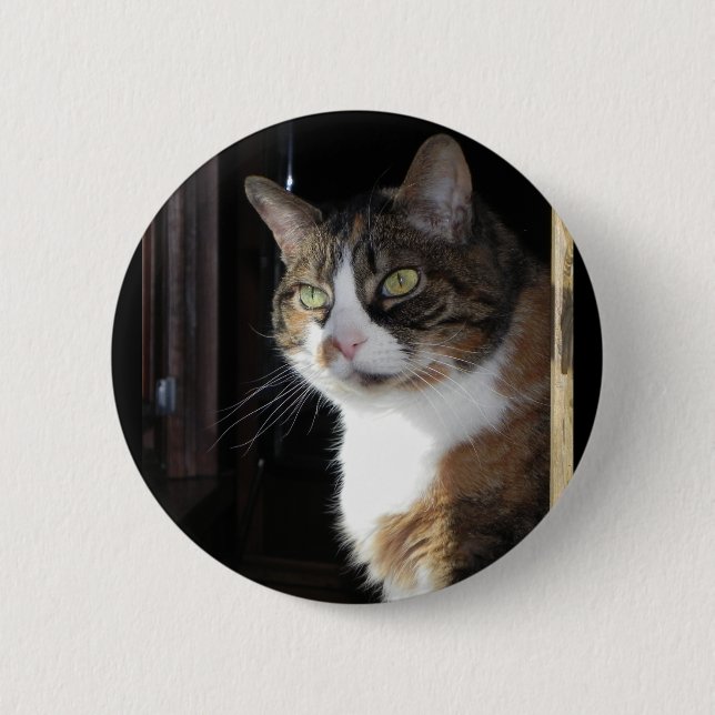 Calico Cat 6 Cm Round Badge (Front)