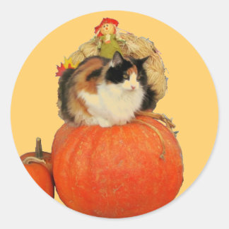 Calico Cat and Scarecrow on Pumpkins Classic Round Sticker