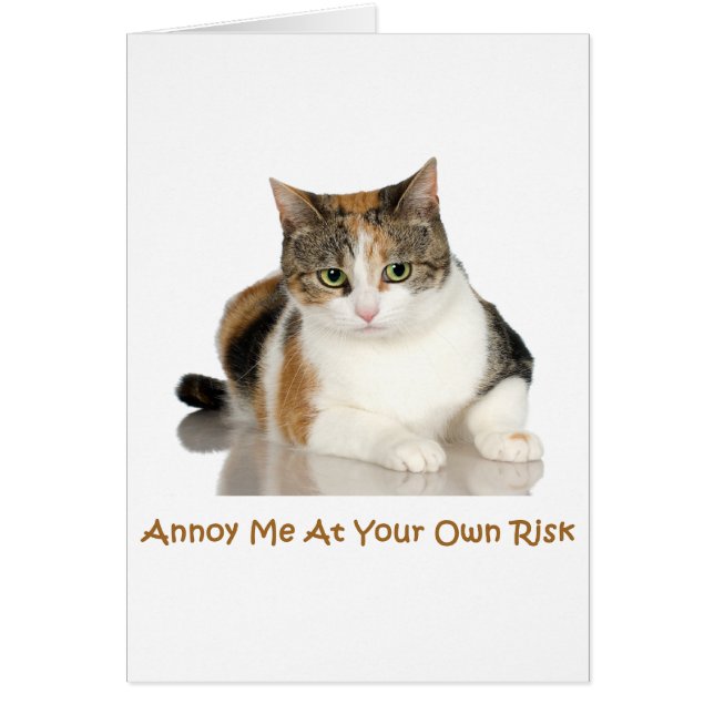 Calico Cat: Annoy Me At Your Own Risk (Front)