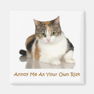 Calico Cat: Annoy Me At Your Own Risk Magnet