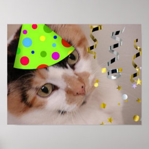 Calico Cat Birthday Party Poster