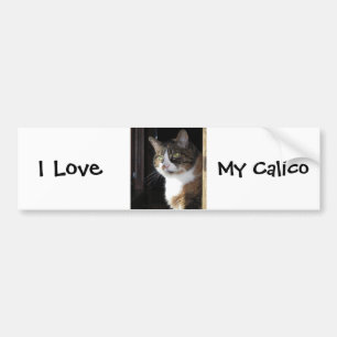 Calico Cat Bumper Sticker