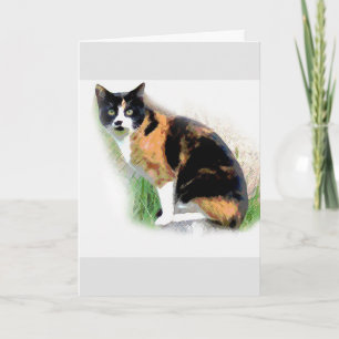 Calico cat card