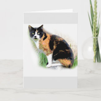 Calico cat card
