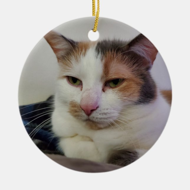Calico cat ceramic tree decoration (Front)