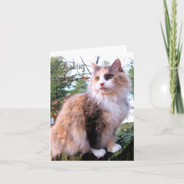 Calico Cat Custom Thinking Of You Card (Front)