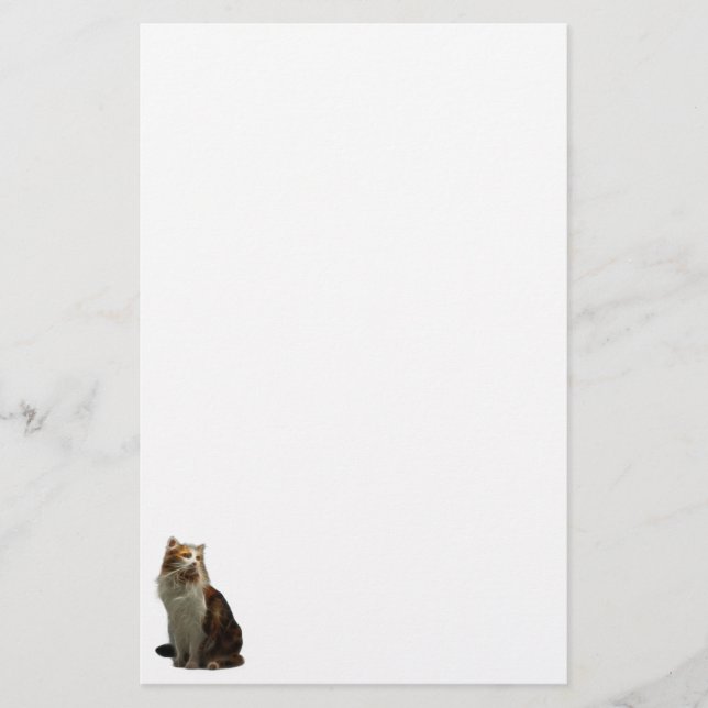 Calico Cat Fractal Stationery (Front)