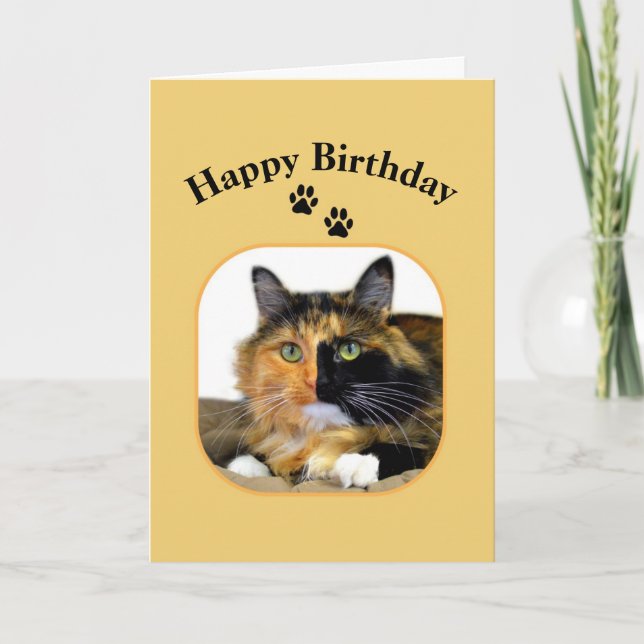 Calico Cat Happy Birthday Card (Front)