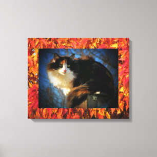 Calico Cat in Autumn Canvas Print