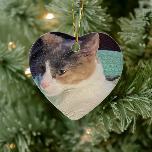 Calico Cat in Cat Bed Ceramic Tree Decoration (Tree)