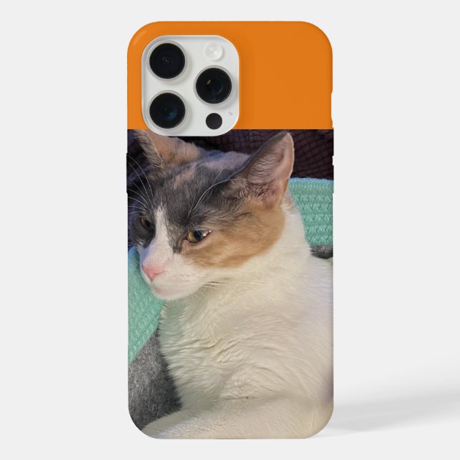 Calico Cat in Cat Bed iPhone Case (Back)
