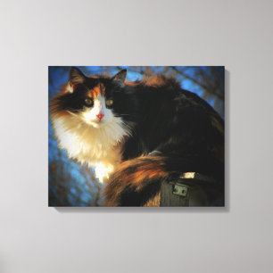 Calico Cat in the wind Canvas Print