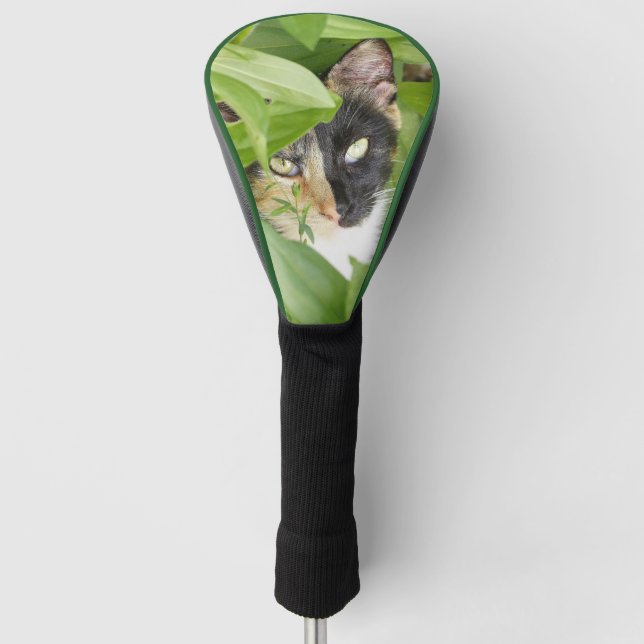 Calico Cat in the Zinnias Golf Head Cover (Front)