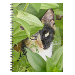 Calico Cat in the Zinnias Notebook