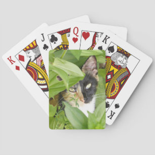 Calico Cat in the Zinnias  Playing Cards