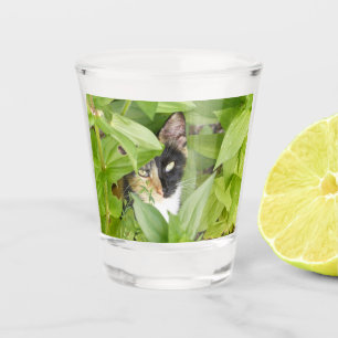 Calico Cat in the Zinnias Shot Glass