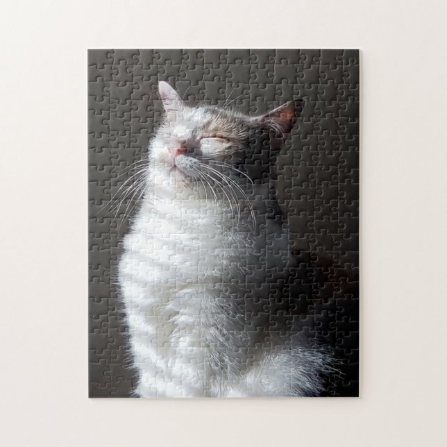 Calico cat jigsaw puzzle (Vertical)
