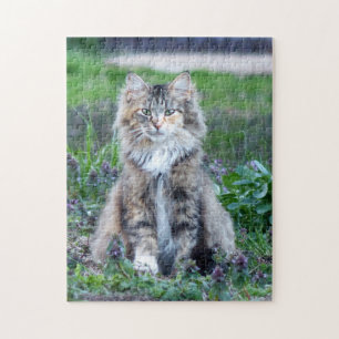 Calico Cat Jigsaw Puzzle