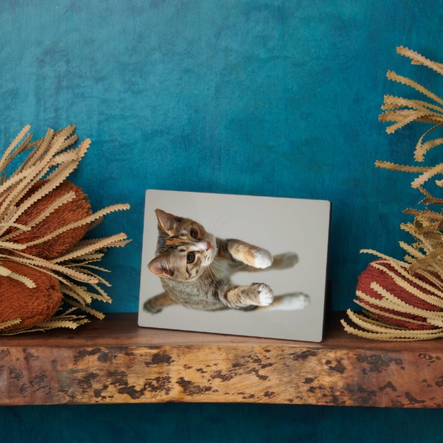 Calico Cat Jumping Plaque (Side)