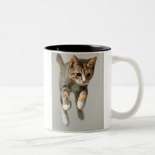 Calico Cat Jumping Two-Tone Coffee Mug