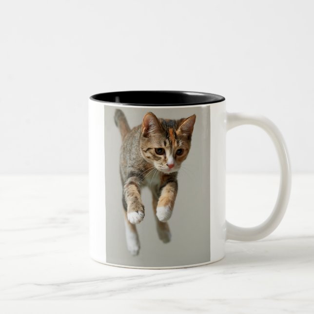 Calico Cat Jumping Two-Tone Coffee Mug (Right)