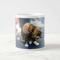 calico cat licking hind legs