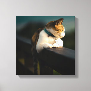 Calico Cat Lounging on Wooden Fence at Sunset Canvas Print