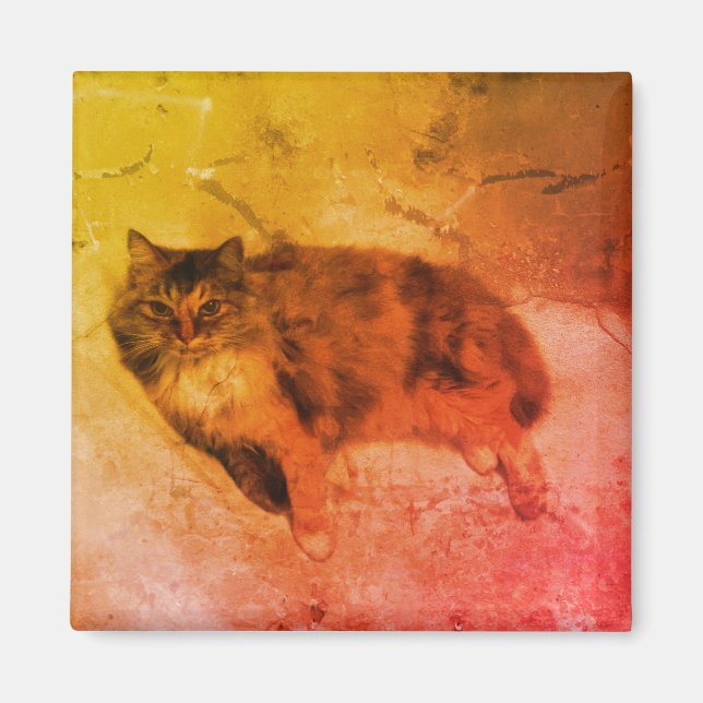 Calico Cat Magnet (Front)