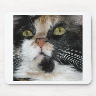 Calico Cat Mouse Pad