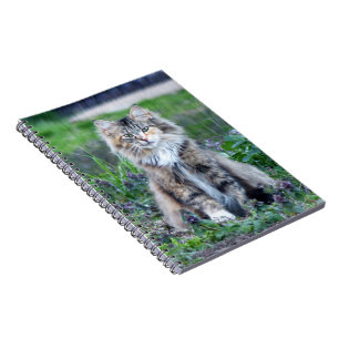 Calico Cat Notebook