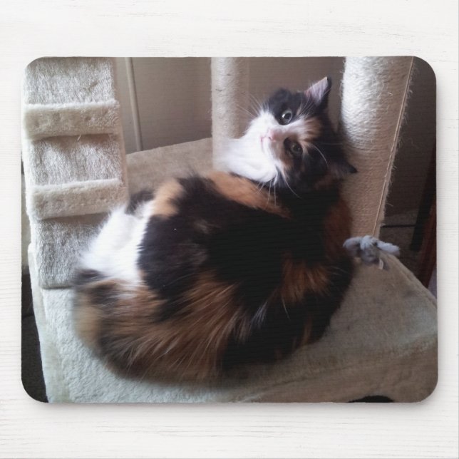 Calico Cat on Cat Tree Mouse Pad (Front)