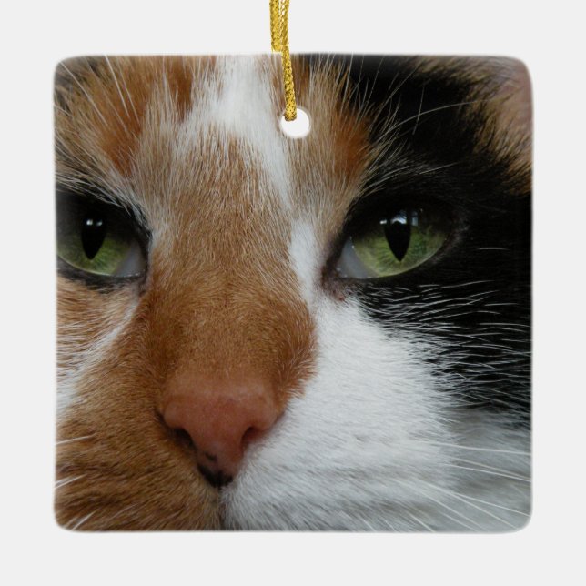 Calico Cat Ornament (Front)
