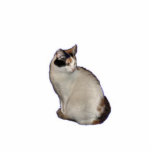 Calico Cat Photo Sculpture Key Ring<br><div class="desc">This calico cat makes a cute acrylic cutout keychain</div>