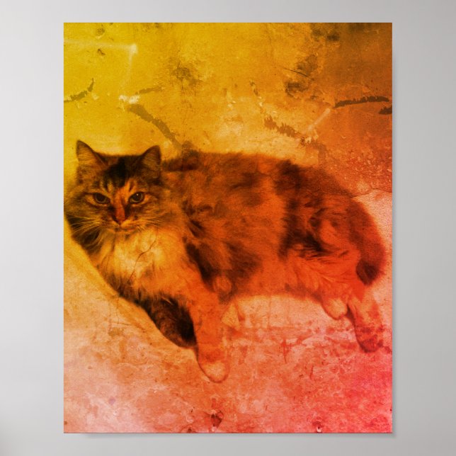 Calico Cat Poster (Front)