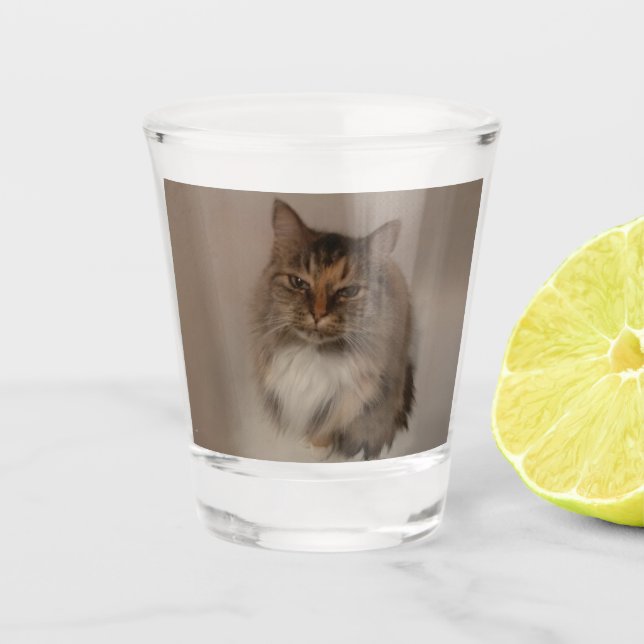 Calico Cat Shot Glass (Front)