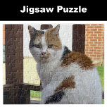Calico cat sitting on decking jigsaw puzzle<br><div class="desc">Calico cat jigsaw puzzle
Gift idea for pet animal lover</div>