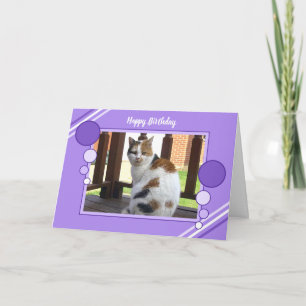 Calico cat sitting photo purple lilac birthday card