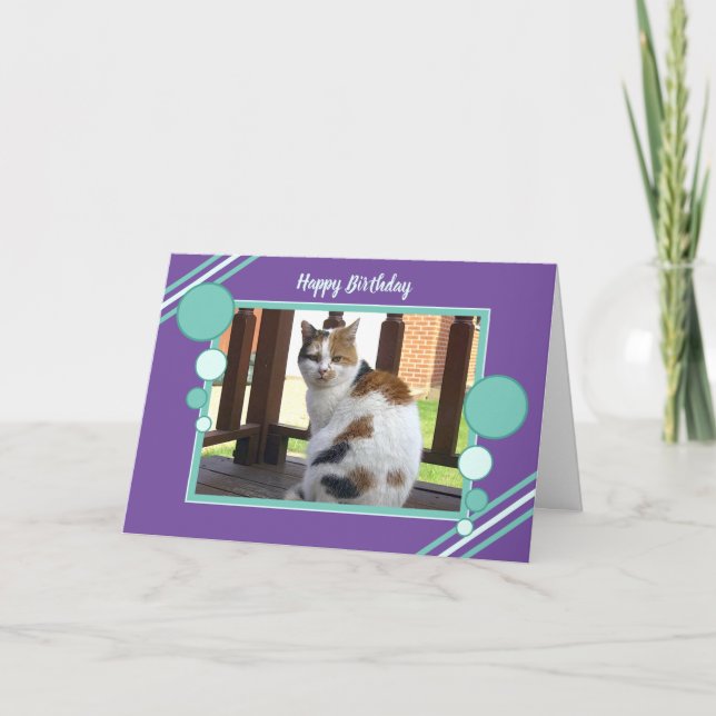 Calico cat sitting photo purple turquoise birthday card (Front)