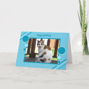 Calico cat sitting purple turquoise card