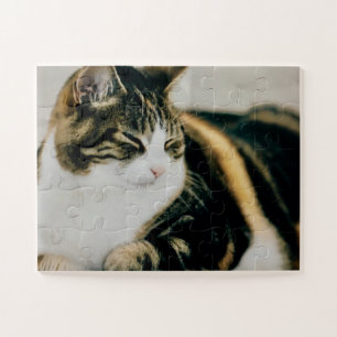 Calico Cat Sleeping Calm Puzzle Cat Lover