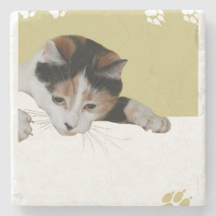 Calico Cat Stone Coaster