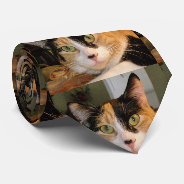 Calico Cat Tie (Rolled)