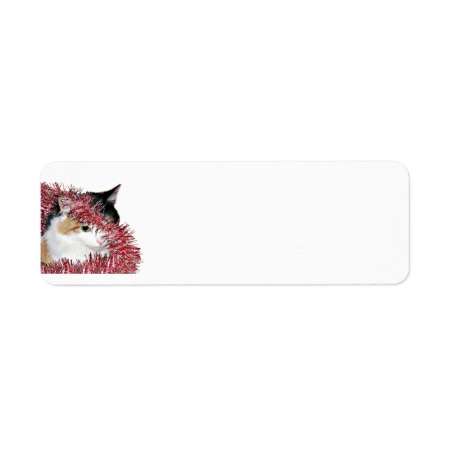 Calico Christmas kitty (Front)