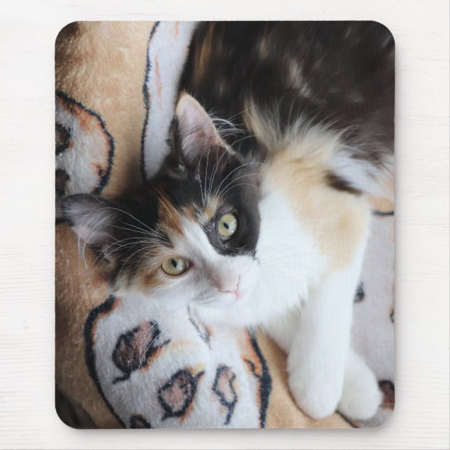 Calico Cricket Kitty Mouse Pad (Front)
