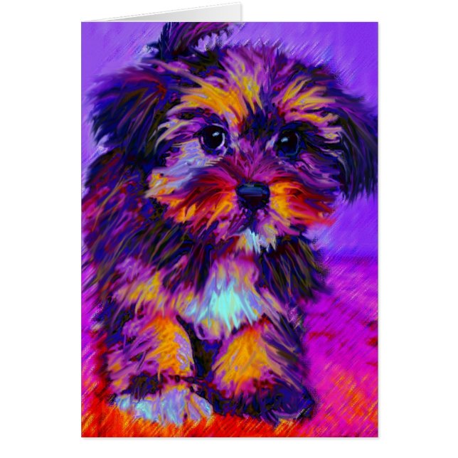 calico dog card (Front)